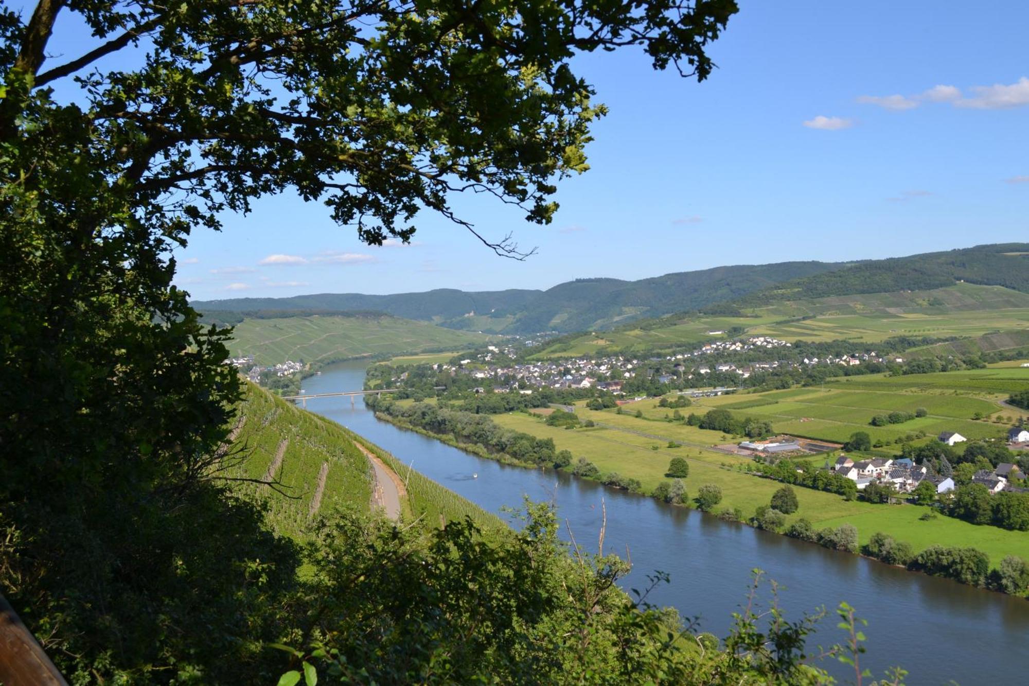 Weingut Mathy-Schanz Osann-Monzel Экстерьер фото