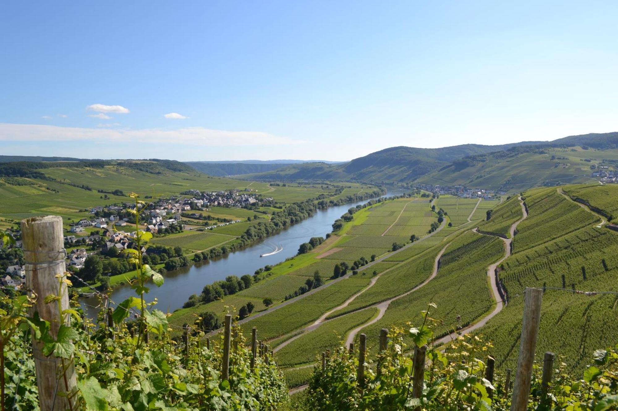 Weingut Mathy-Schanz Osann-Monzel Экстерьер фото