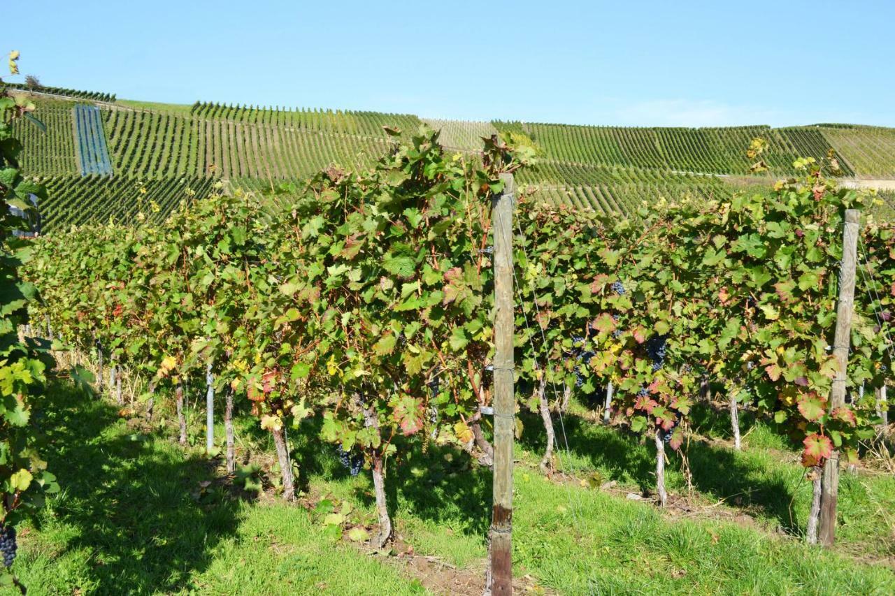 Weingut Mathy-Schanz Osann-Monzel Экстерьер фото