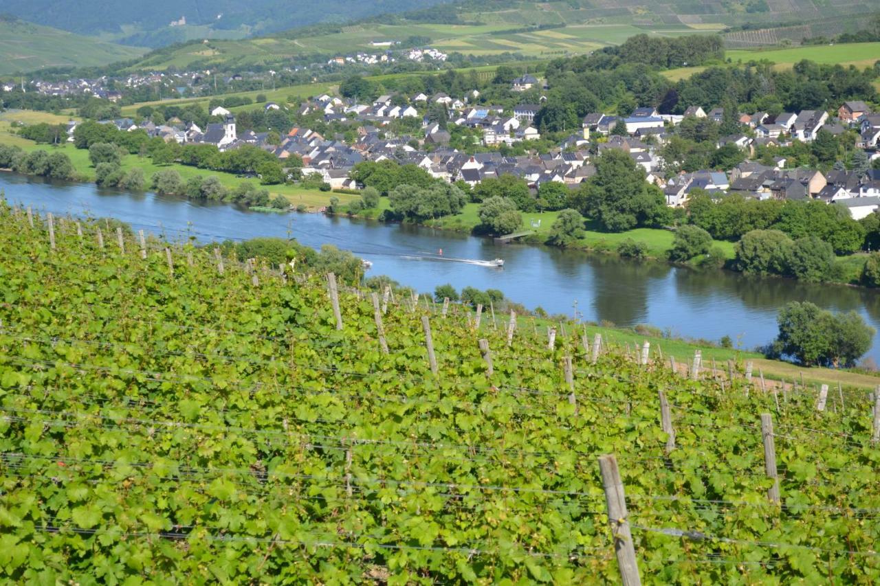 Weingut Mathy-Schanz Osann-Monzel Экстерьер фото